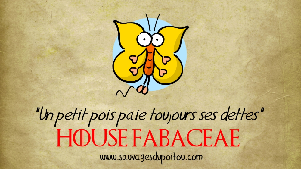 House Fabaceae, Sauvages du Poitou!