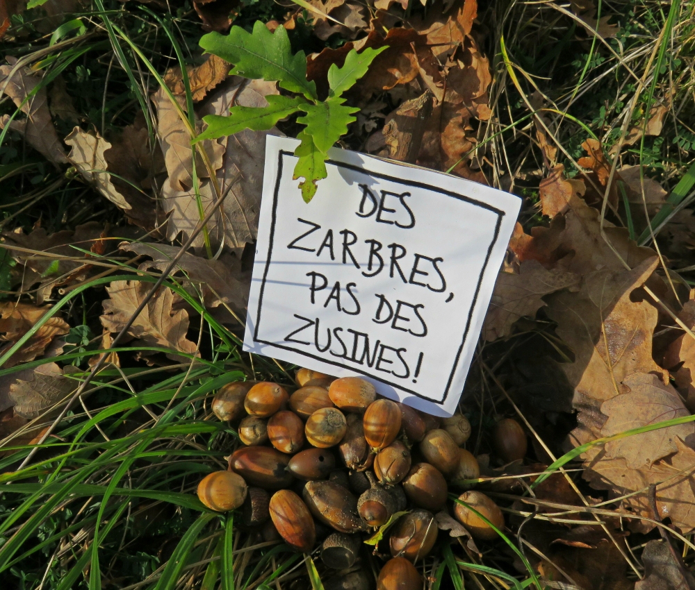 Les Sauvages marchent pour le climat!