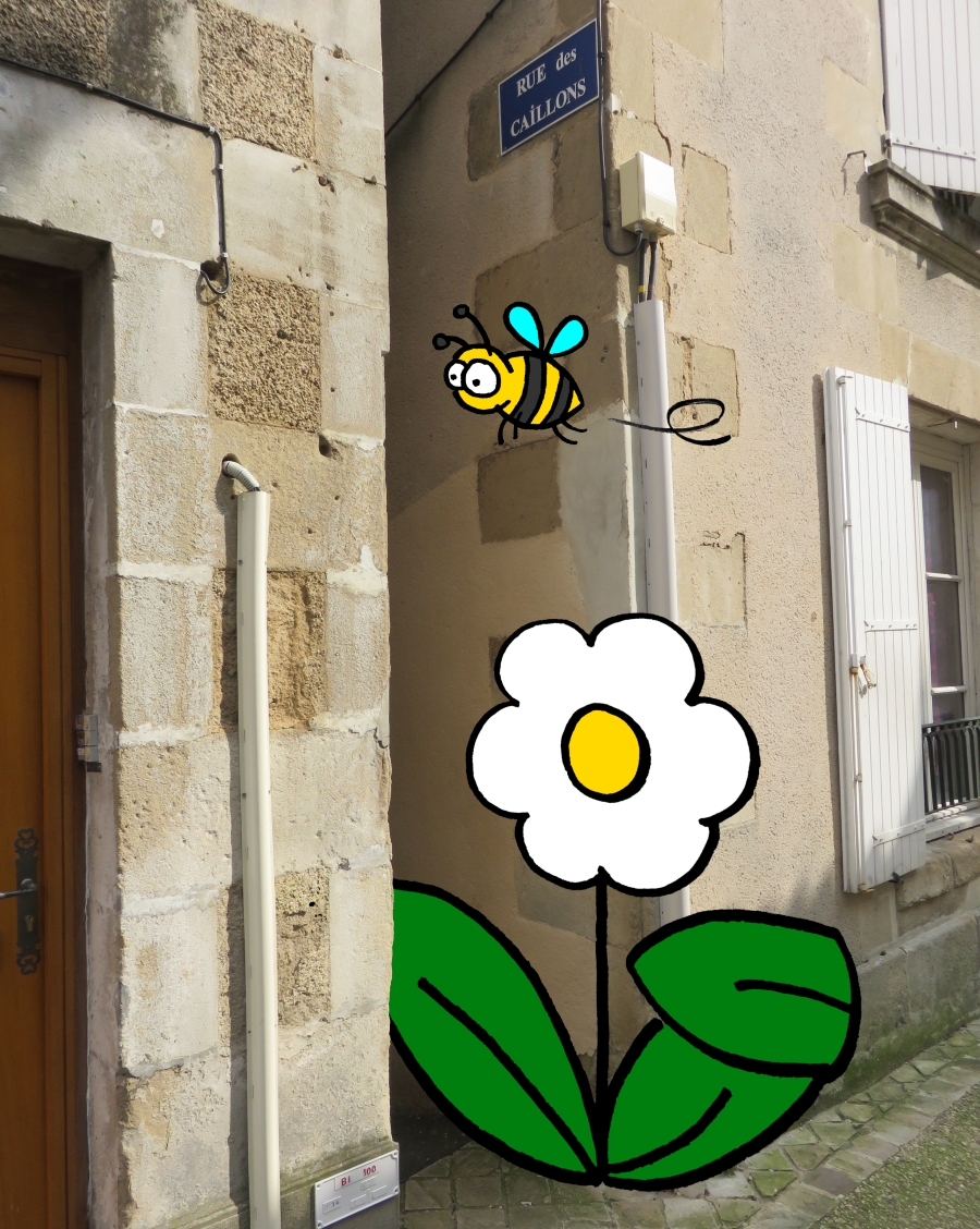 Rue des Caillons à Poitiers