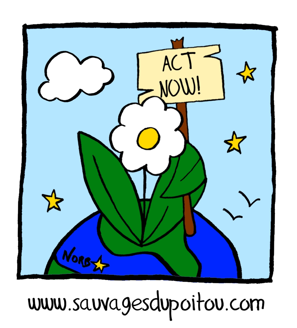 Les Sauvages marchent pour le climat!