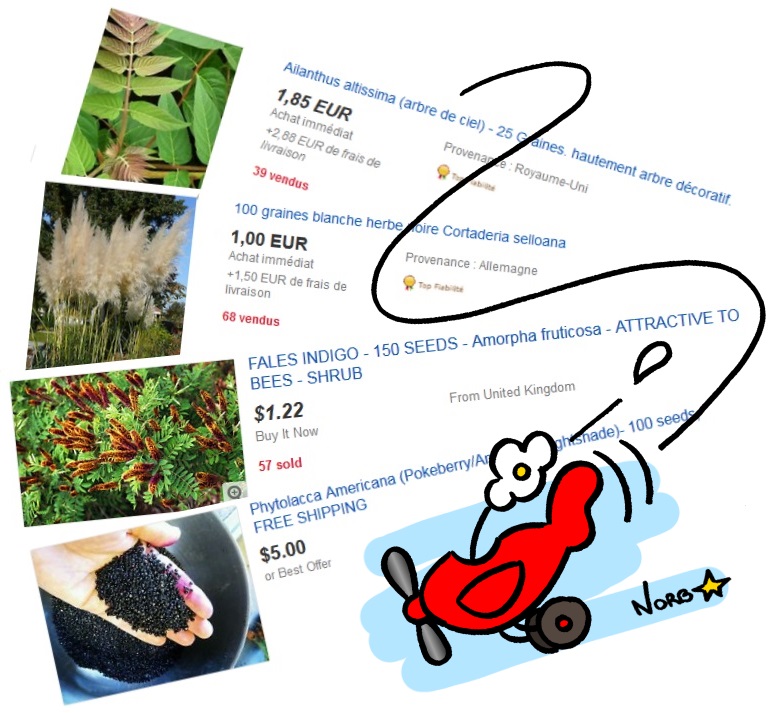 Vente en ligne à l'international: la grande foire aux invasives!