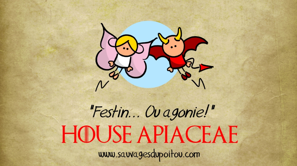 House Apiaceae, Sauvages du Poitou!