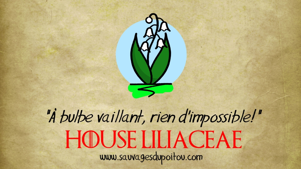 House Liliaceae, Sauvages du Poitou!