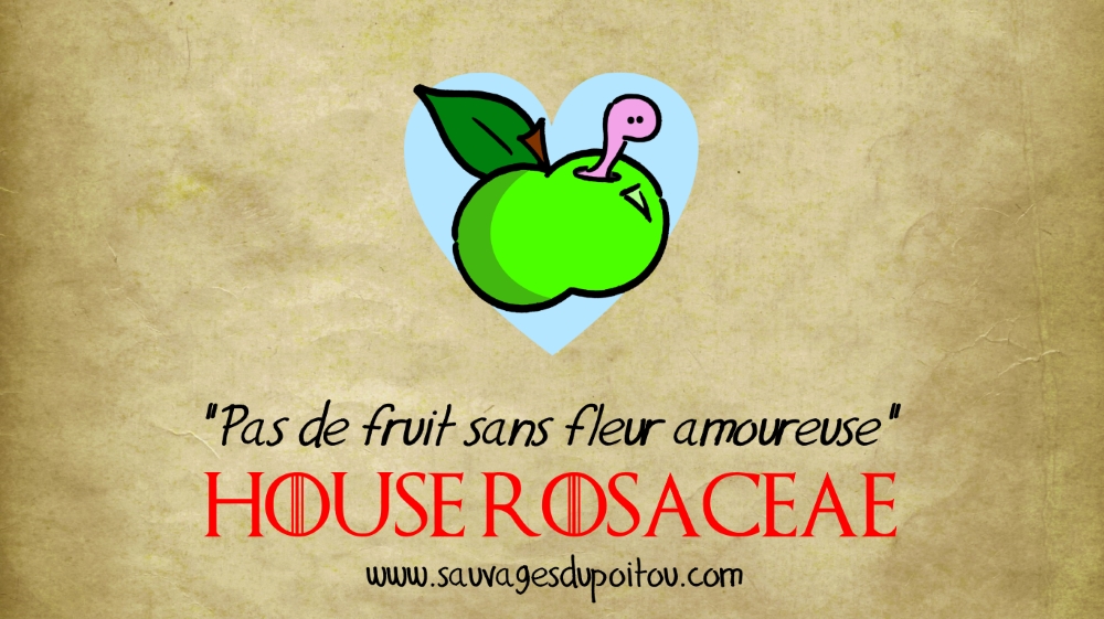 House Rosaceae, Sauvages du Poitou!