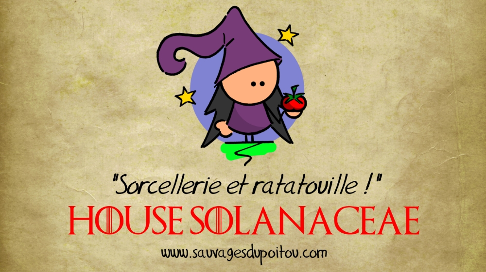 House Solanaceae, Sauvages du Poitou!