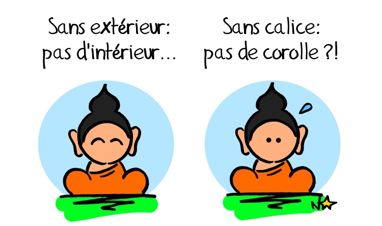 Sans calice, pas de corolle! Sauvages du Poitou