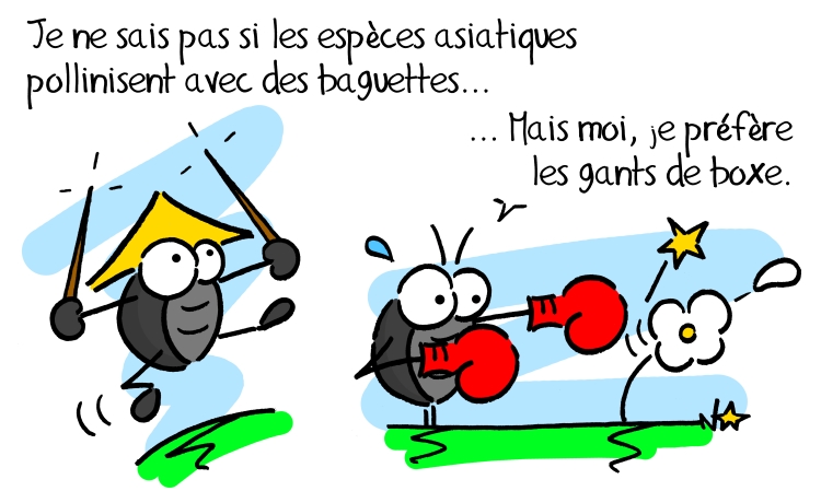 La Sauvage et le coléoptère, Sauvages du Poitou!