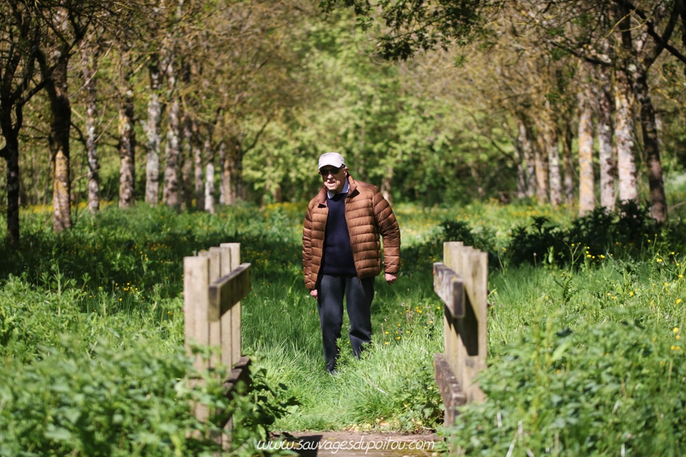 Yves Baron, Saint-Benoît (2019)