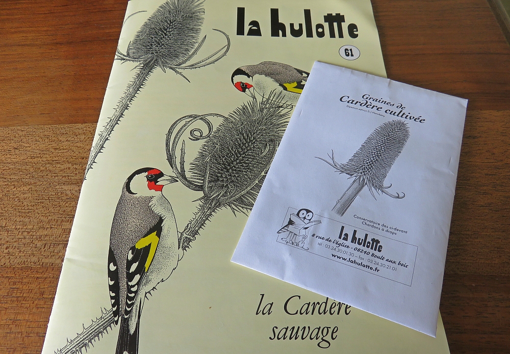 La Hulotte, fournisseuse de savoir, de bonne humeur et de graines de Cardère Cultivée!