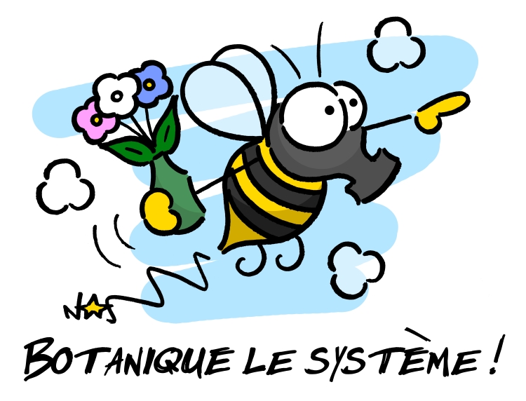 Botaniquons le système avec Sauvages du Poitou!