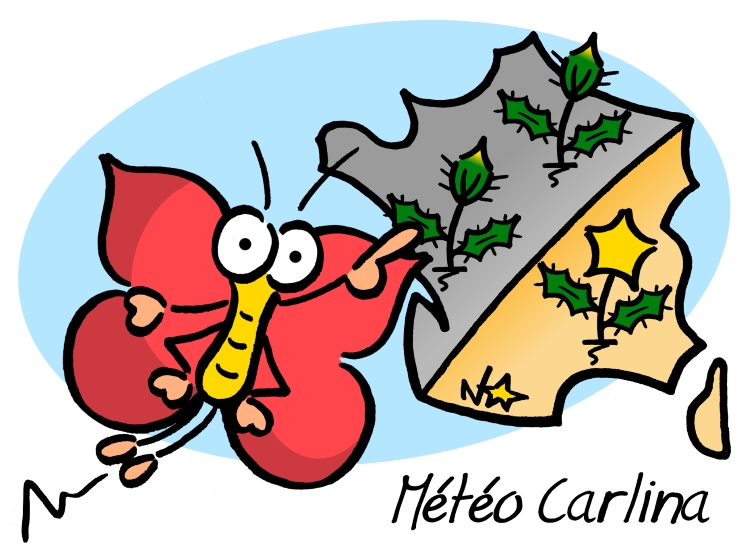 Météo Carlina, Sauvages du Poitou!
