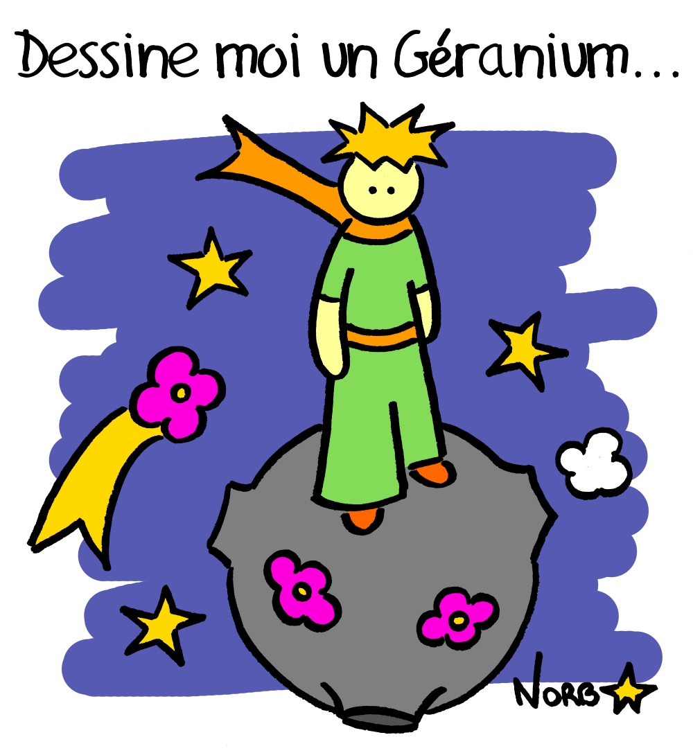 Professeur Baron, dessine moi un Géranium!