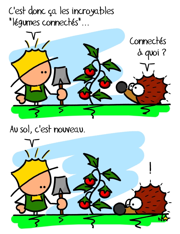 Les légumes connectés, Sauvages du Poitou!