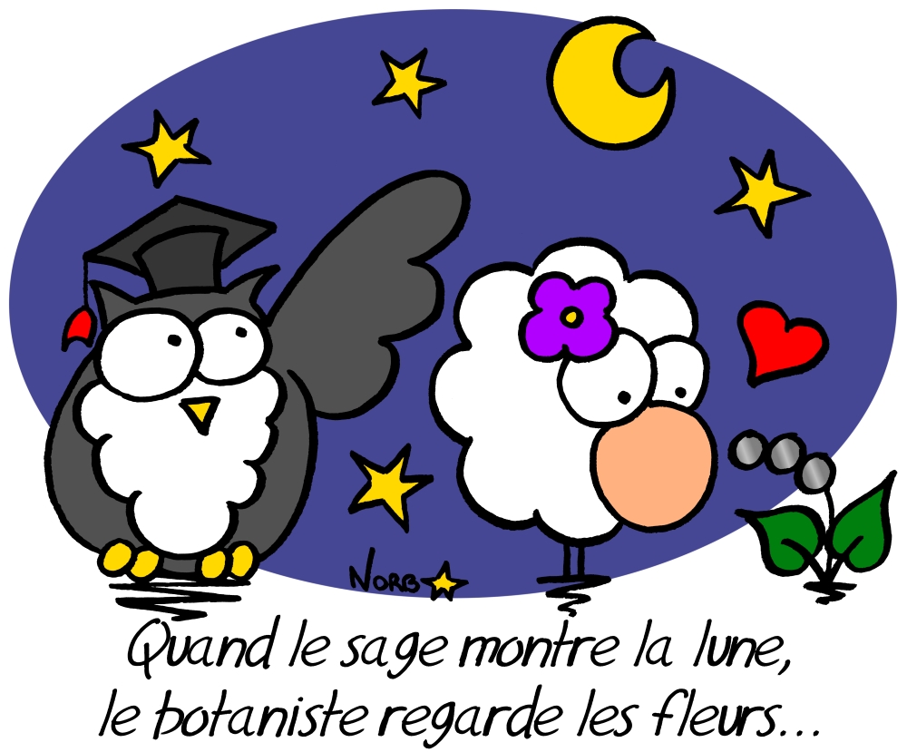 Quand le sage montre la lune... Sauvages du Poitou!