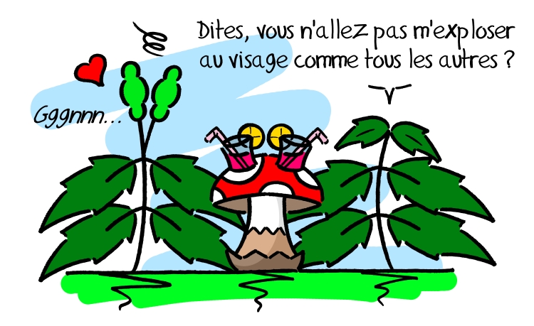 Mercuriale annuelle, Sauvages du Poitou!