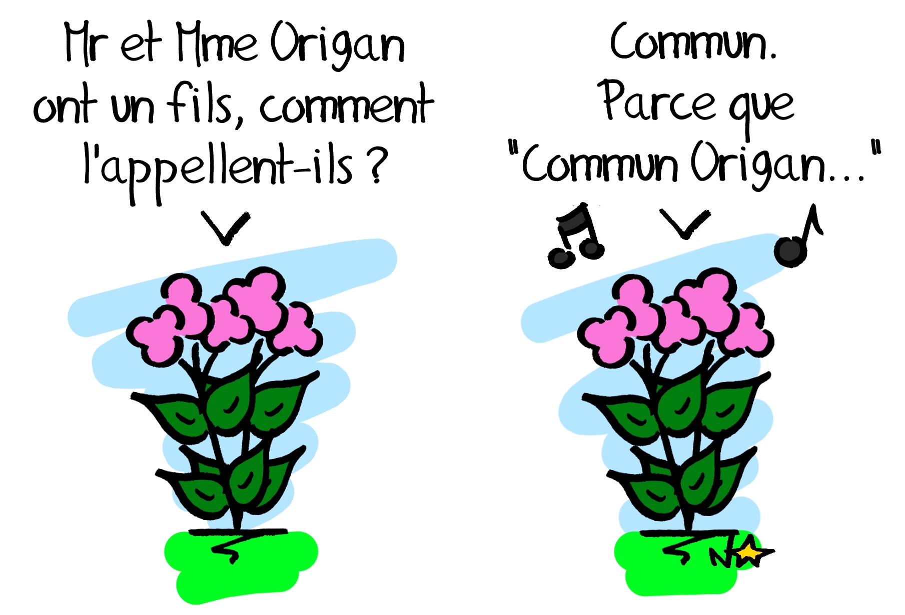 Origan commun, Sauvages du Poitou!