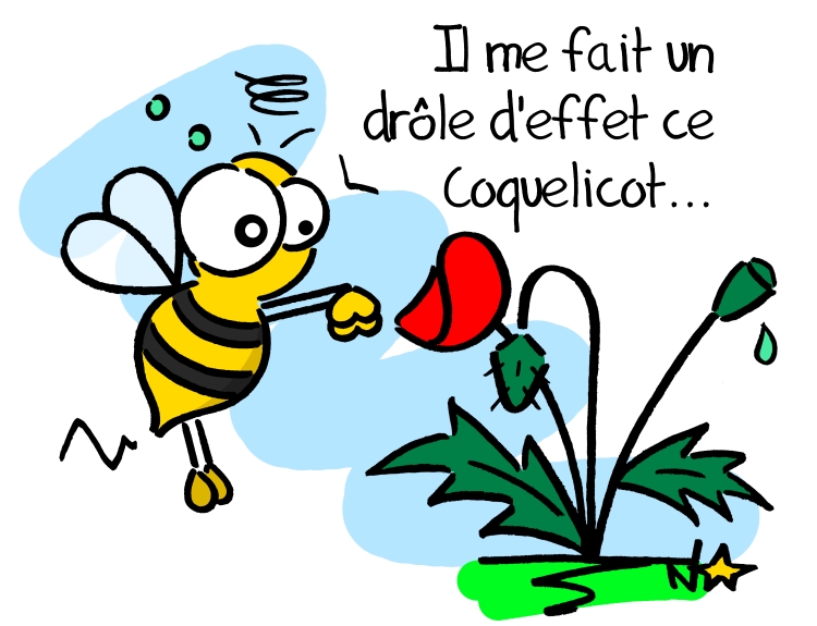 Accroc aux Coquelicots? Sauvages du Poitou!