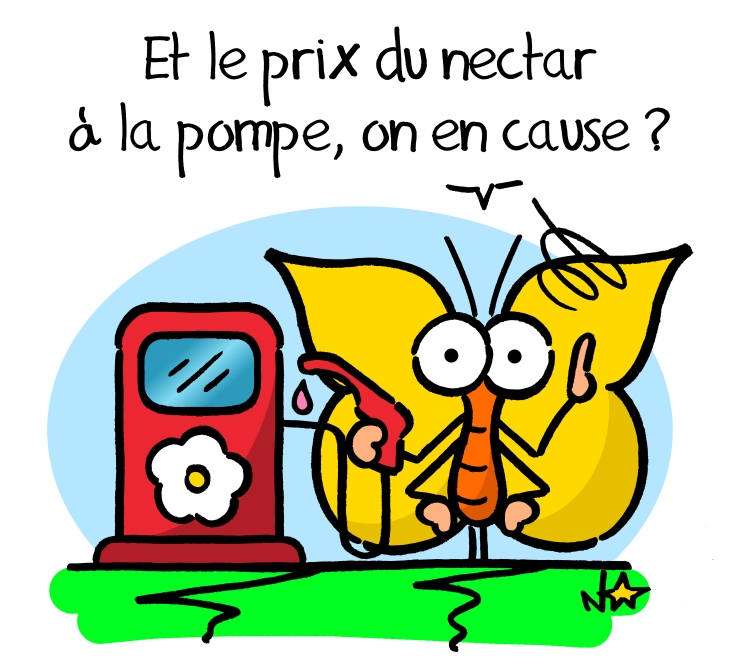 Papillon et nectar, Sauvages du Poitou!