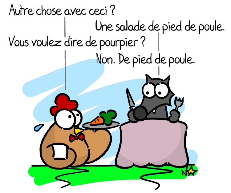 Pourpier, le Pied de Poule! Sauvages du Poitou