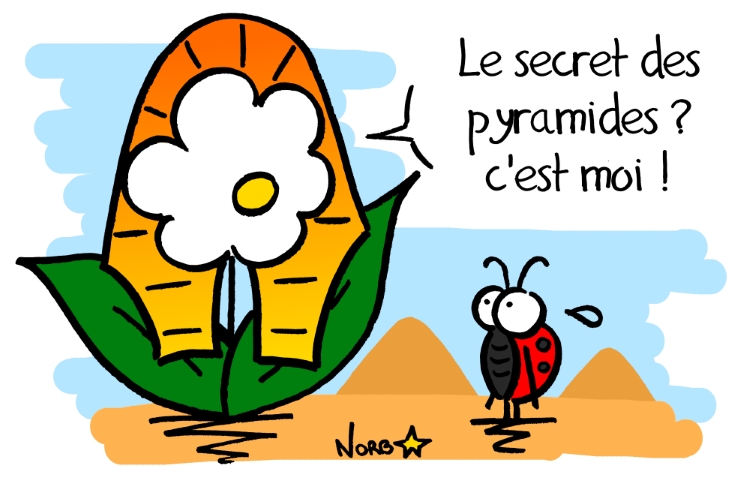 Le secret des pyramides d'Égypte? Sauvages du Poitou!