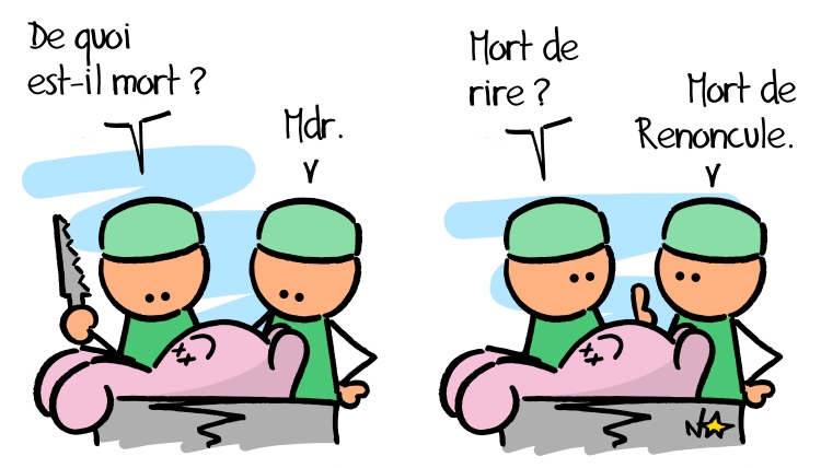 Ranunculus sceleratus : mort de rire! Sauvages du Poitou