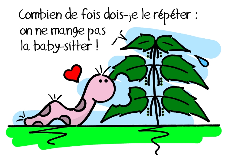 Urtica dioica, la Nounou des papillons! Sauvages du Poitou