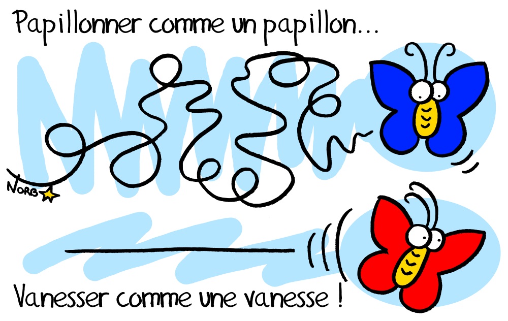 Papillonner comme un papillon, vanesser comme une vanesse!