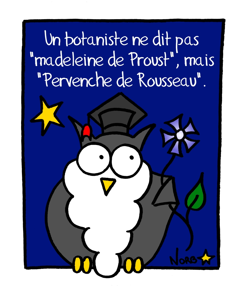 La Pervenche de Rousseau, Sauvages du Poitou!